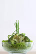 Bol de salată, Transparent, 25x12x25 cm