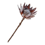 Buchet King Protea