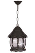 Lustra de exterior BFE 1 Outdoor Chandelier, Negru, 20x50x20 cm