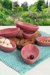 Set boluri pentru aperitive Appetizer Bowl Set   ST500006F989A000000MAYD100, Roz, 22x19x22 cm