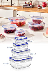 Set cutie de depozitare Storage Box Set   30145, Transparent, 20x12x20 cm