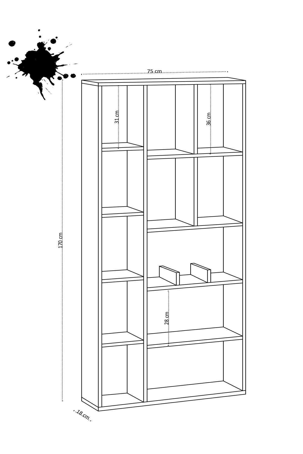 Biblioteca Demios, 12 compartimente, Stejar, 75 x 170 x 18 cm